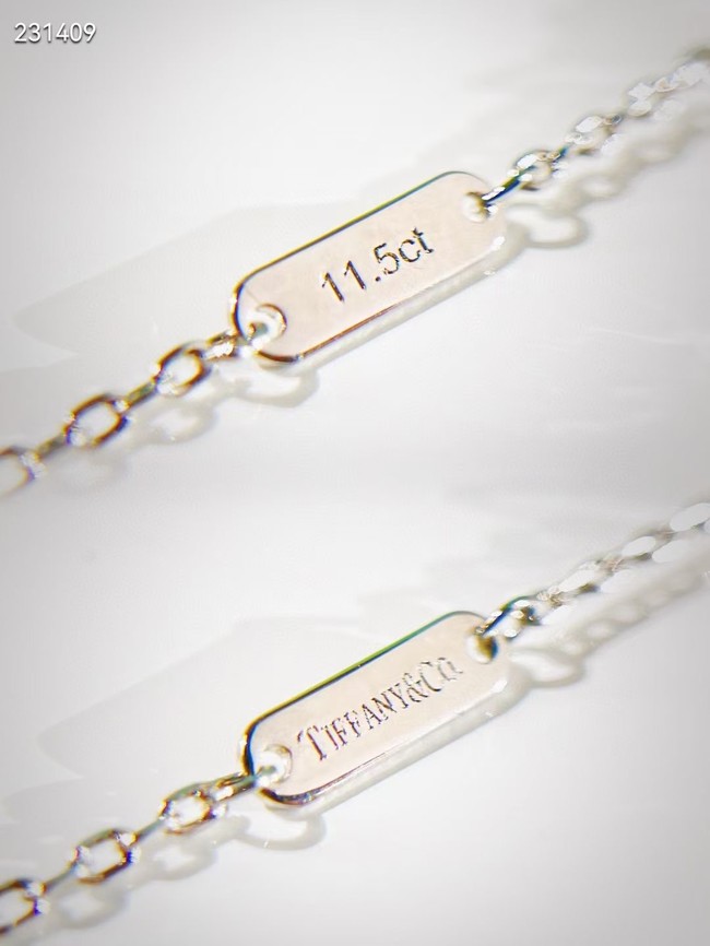 TIFFANY Necklace CE7856