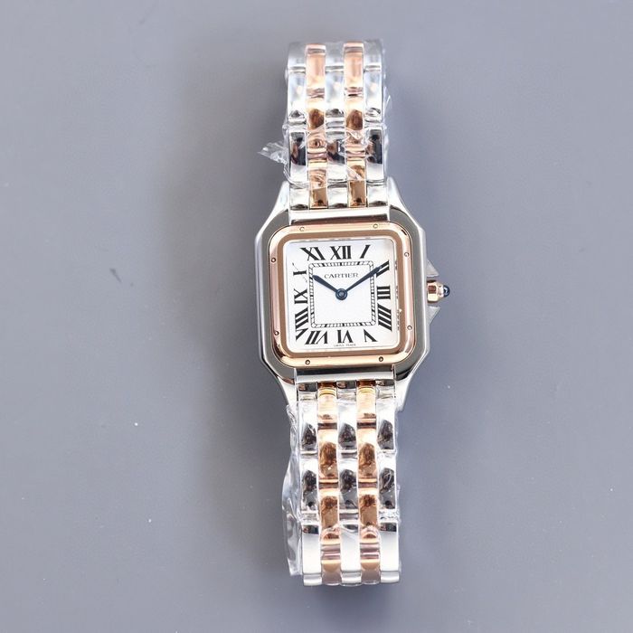 Cartier Watch CTW00017-1