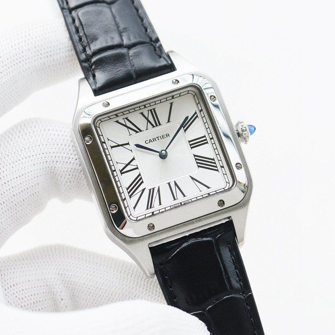 Cartier Watch CTW00020-1