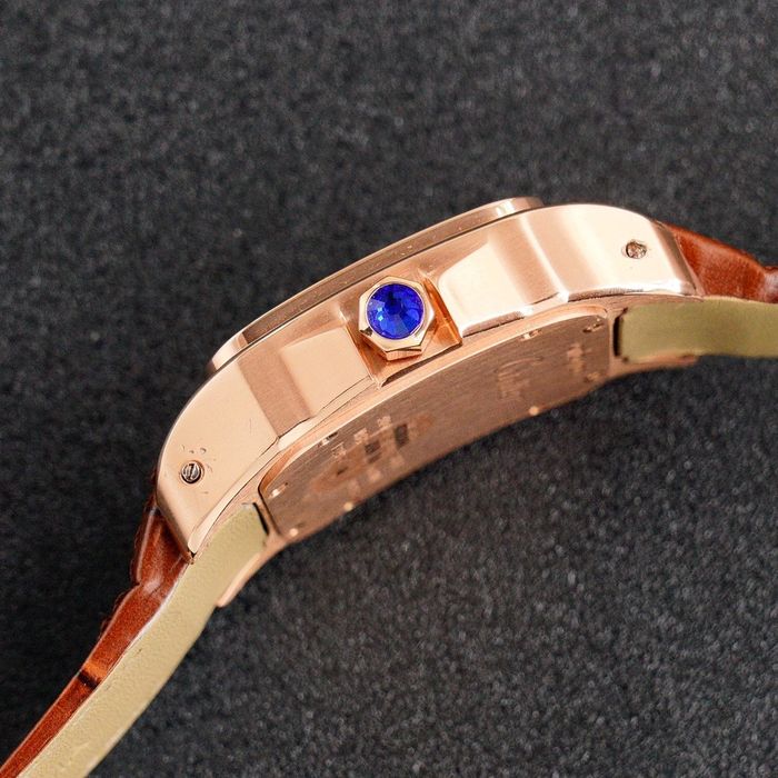 Cartier Watch CTW00036-1