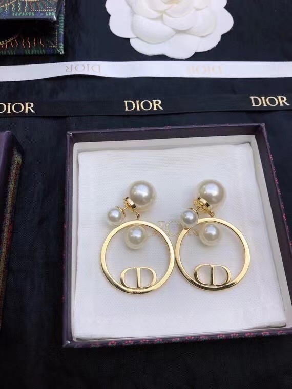 Dior Earrings CE7811