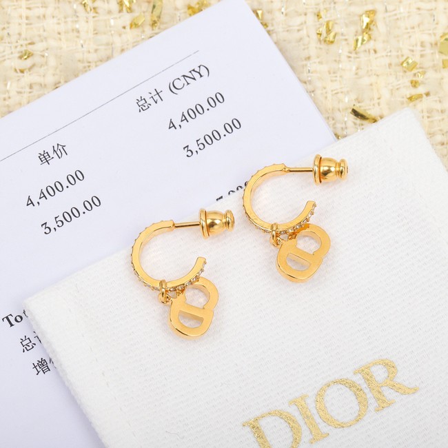 Dior Earrings CE8053