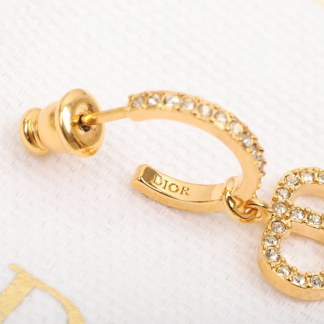 Dior Earrings CE8053