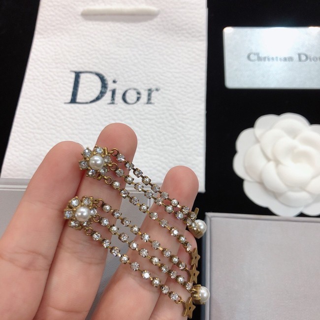 Dior Earrings CE8173