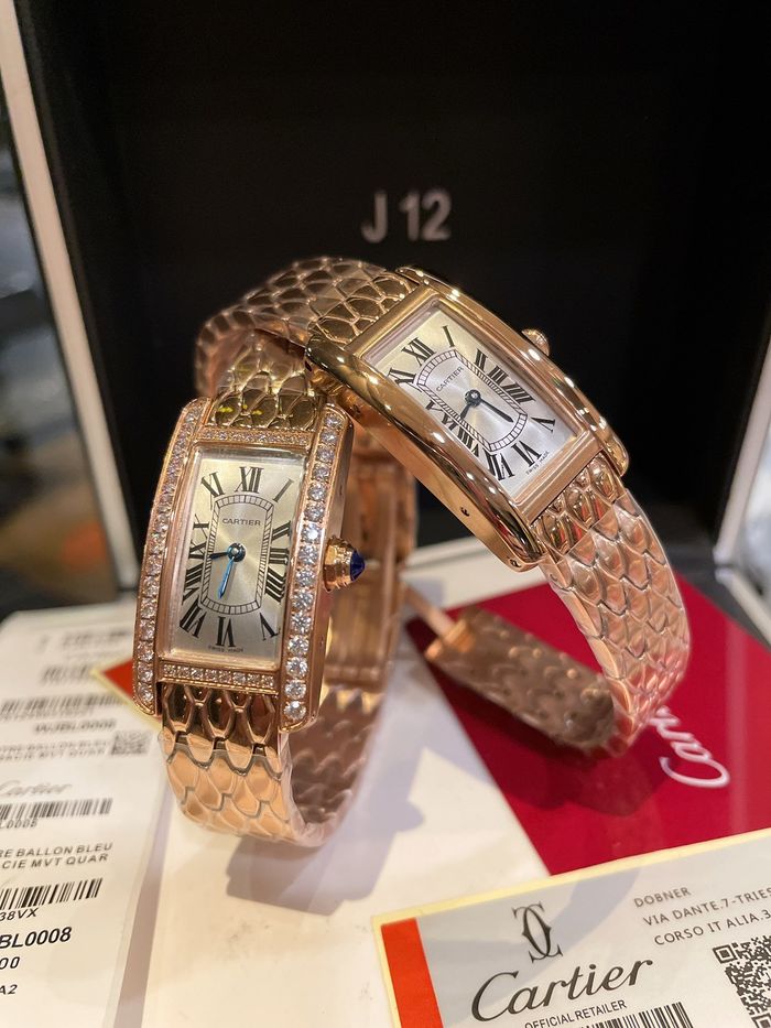 Cartier Watch CTW00085