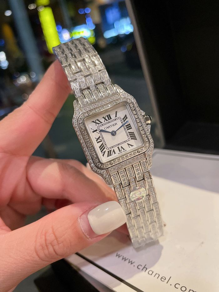 Cartier Watch CTW00119-1