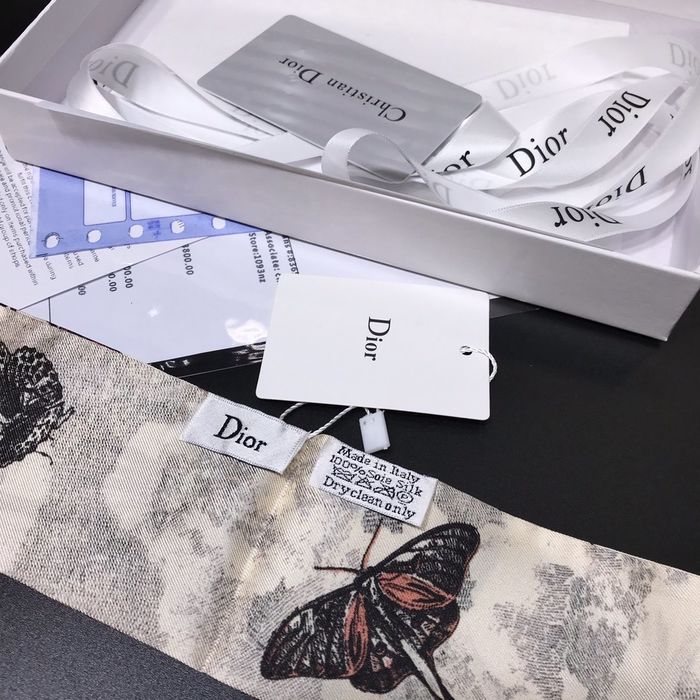 Dior Scarf DIS00001