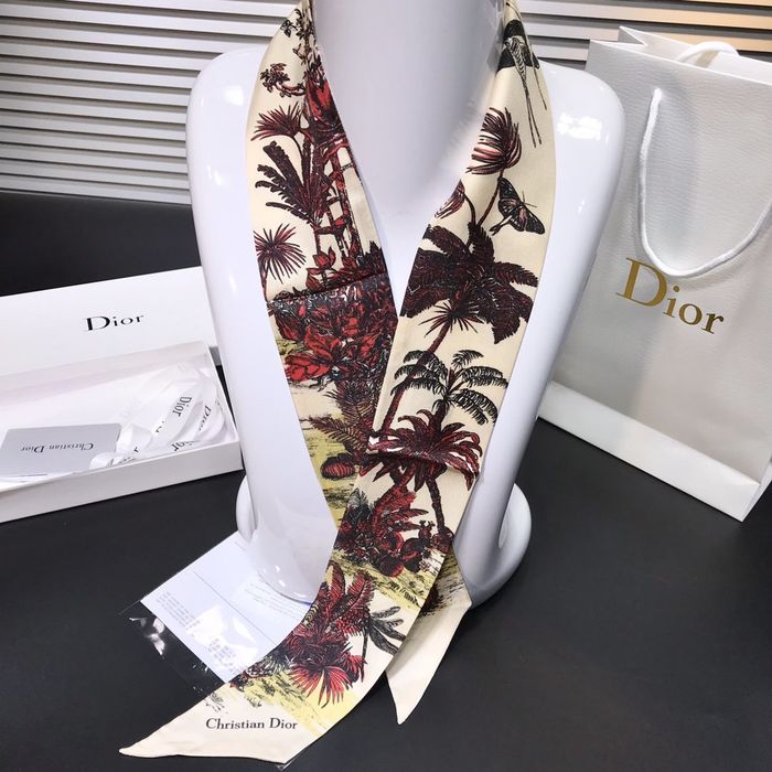 Dior Scarf DIS00001