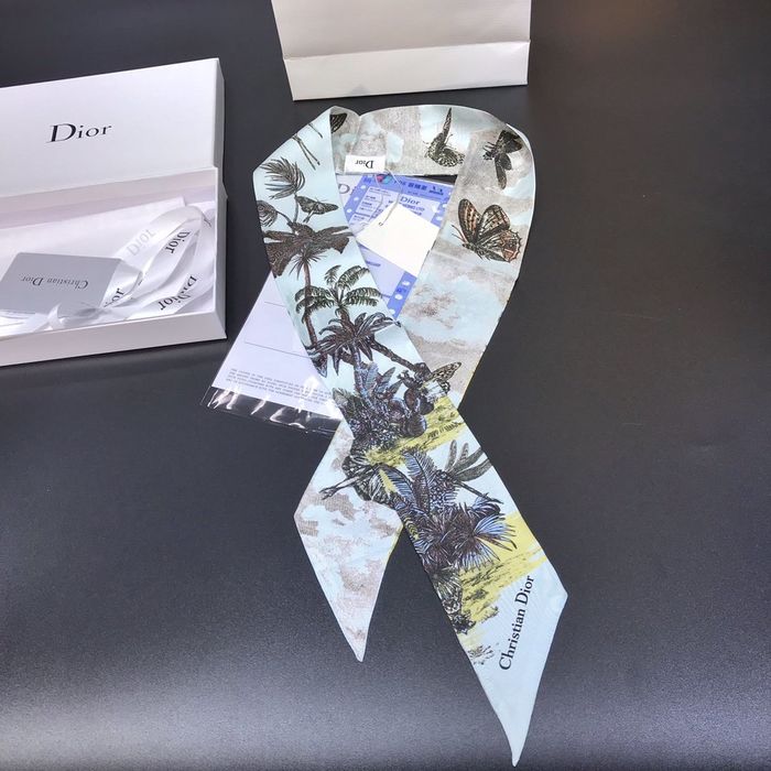 Dior Scarf DIS00002