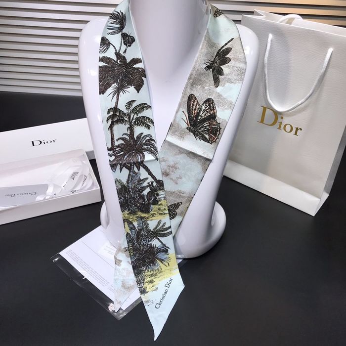 Dior Scarf DIS00002