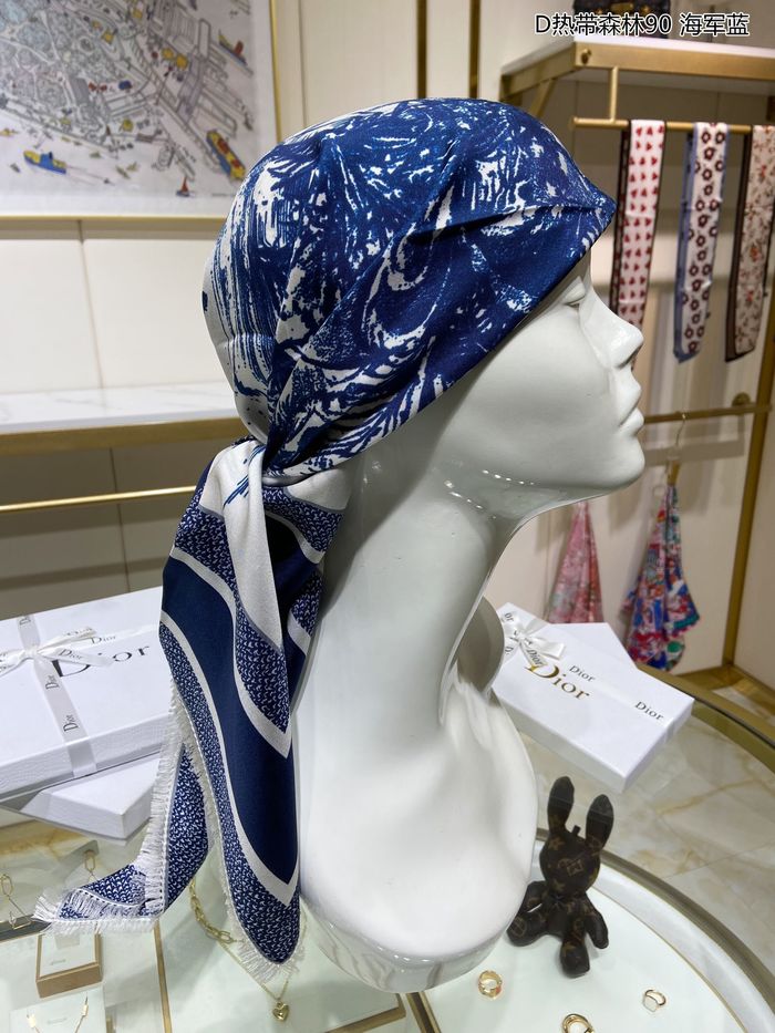 Dior Scarf DIS00034