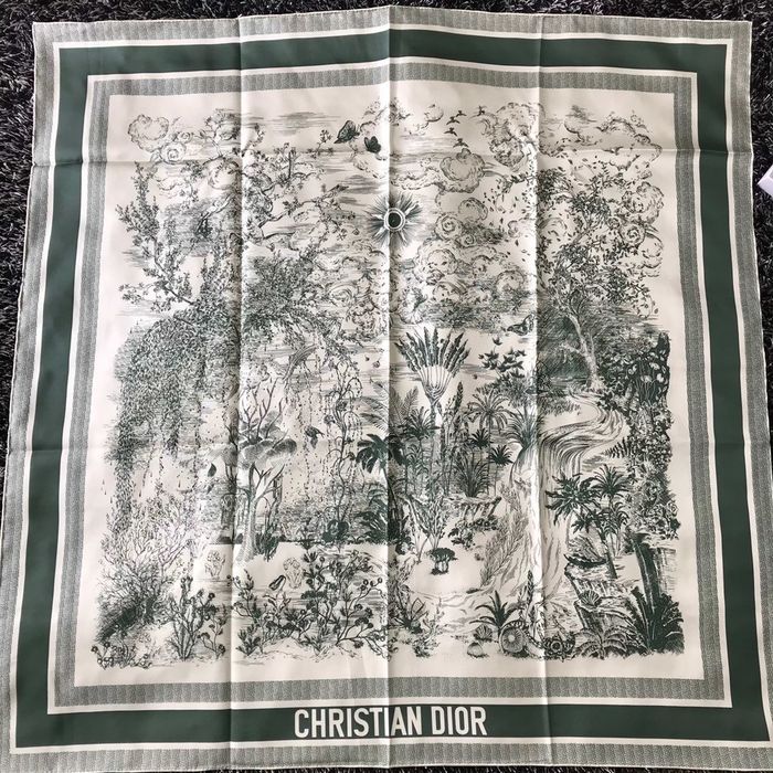 Dior Scarf DIS00043