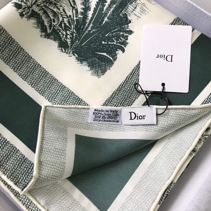 Dior Scarf DIS00043