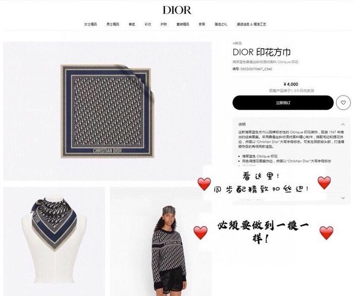 Dior Scarf DIS00054