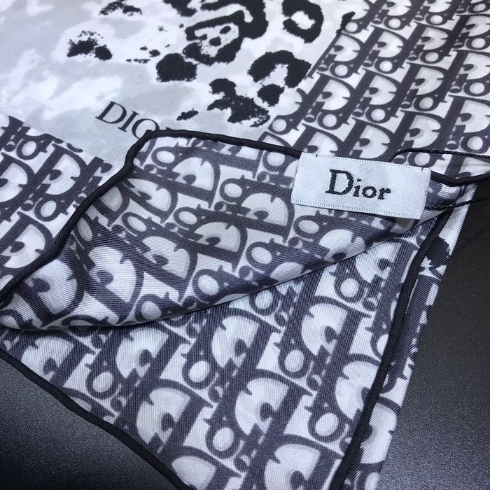 Dior Scarf DIS00065