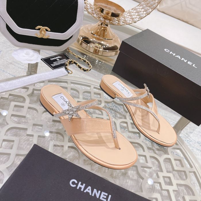 Chanel Shoes CHS00251