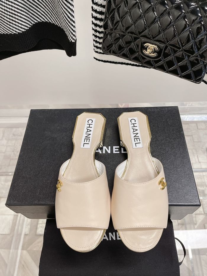 Chanel Shoes CHS00392