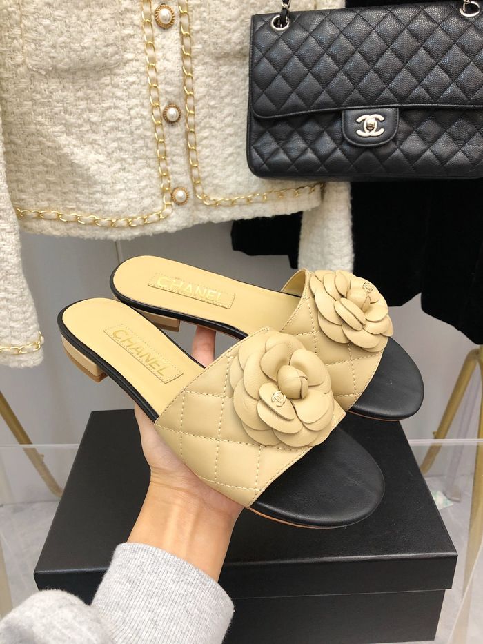 Chanel Shoes CHS00542 Heel 2.5CM