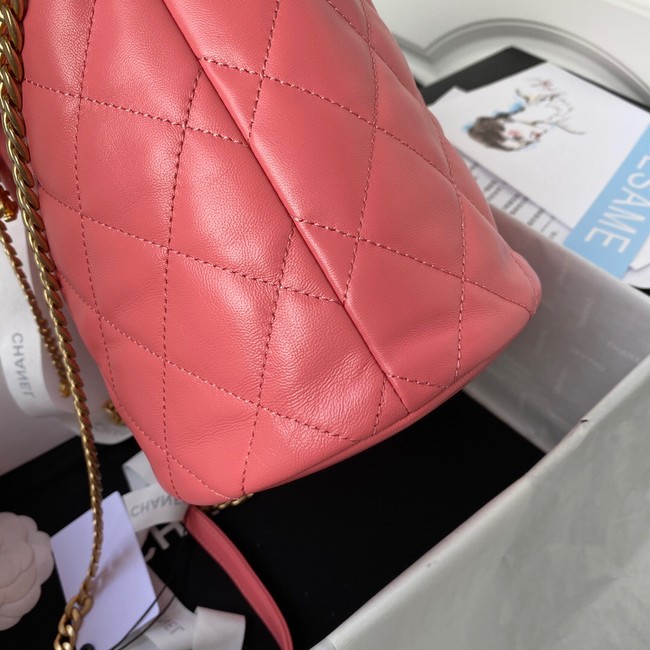 Chanel Drawstring Bag & Gold Metal AS3117 pink