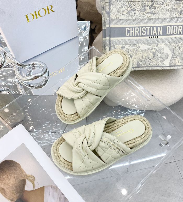 Dior Shoes DIS00126