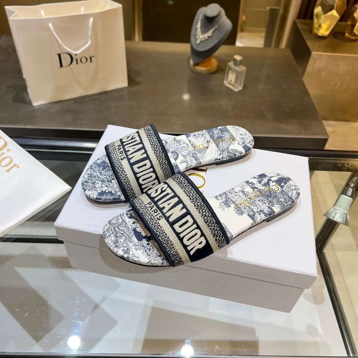 Dior Shoes DIS00157