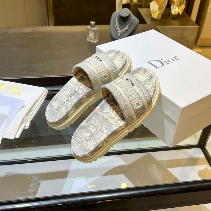 Dior Shoes DIS00174