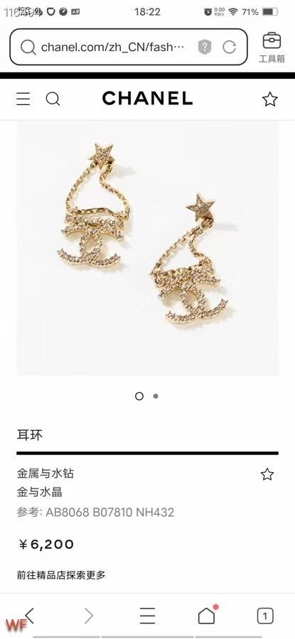 Chanel Earrings CE8678