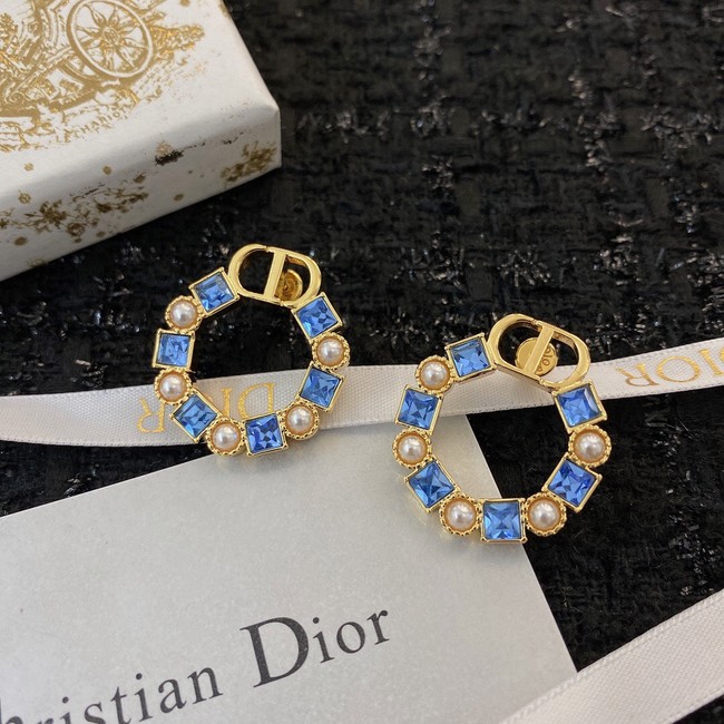 Dior Earrings CE8911