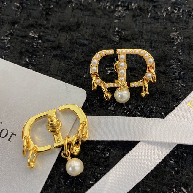 Dior Earrings CE8913