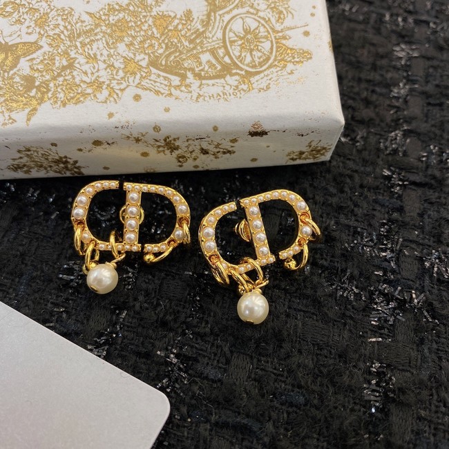 Dior Earrings CE8913