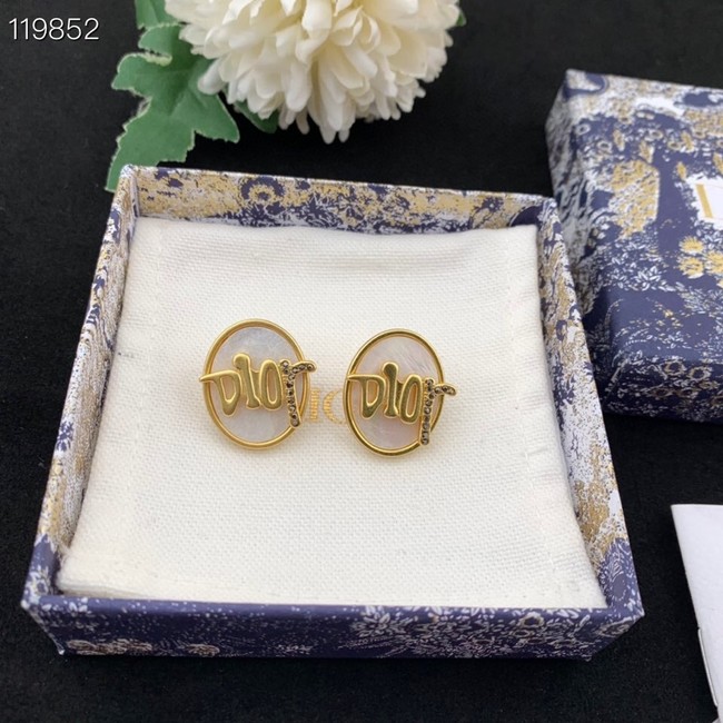 Dior Earrings CE8976