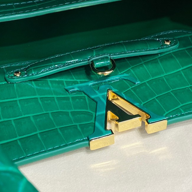 Louis Vuitton crocodile skin CAPUCINES M48866 green