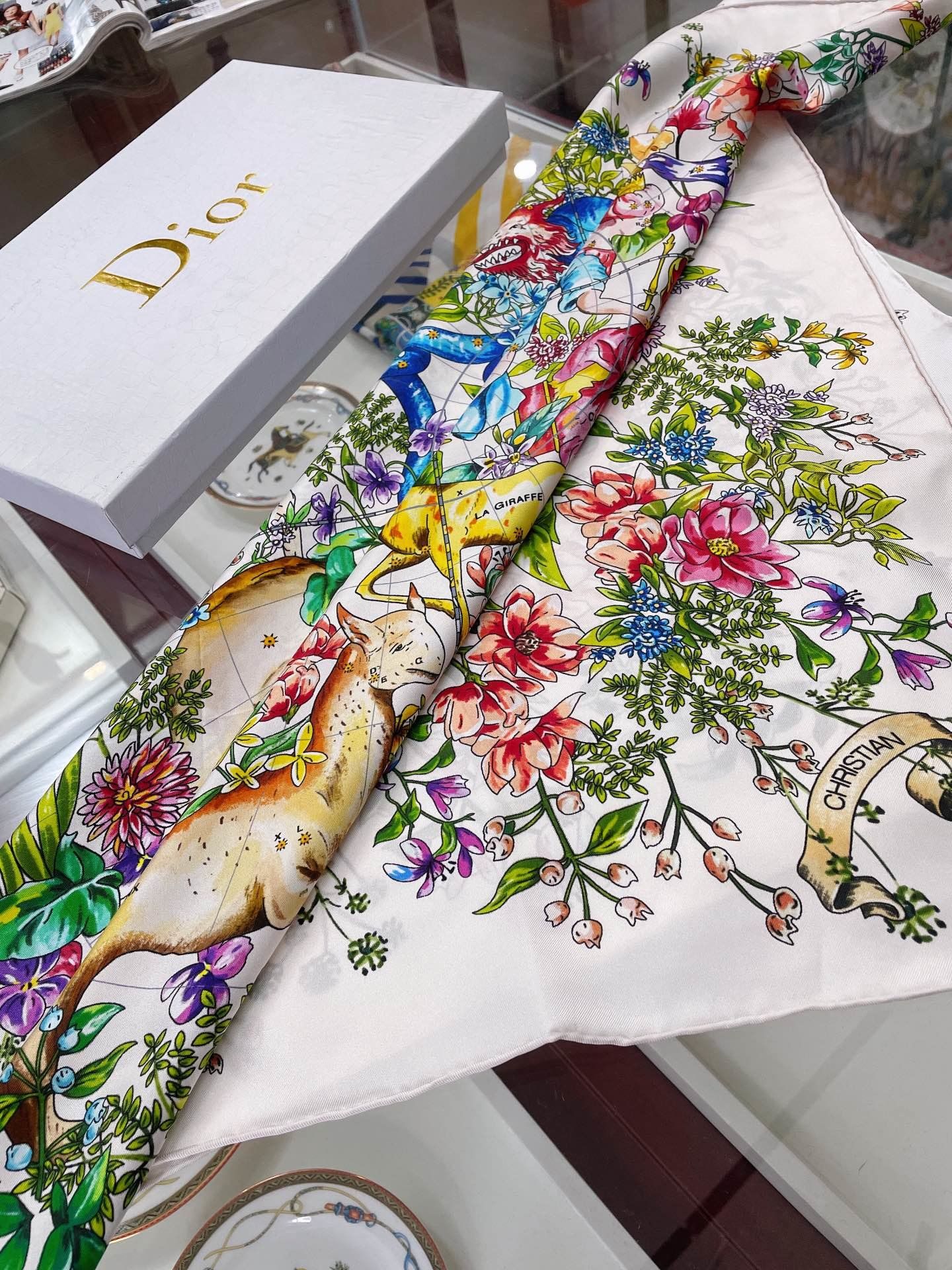 Dior Scarf DIC00041