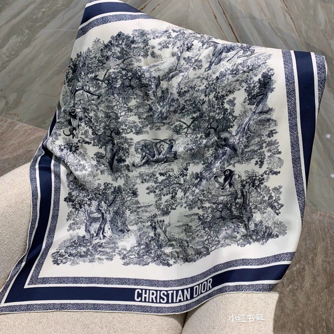 Dior Scarf DIC00075