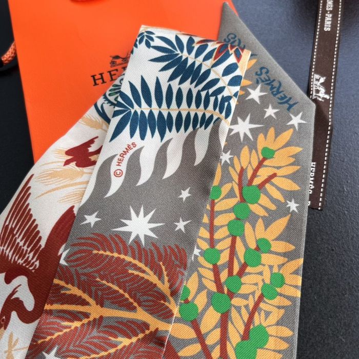 Hermes Scarf HEC00029