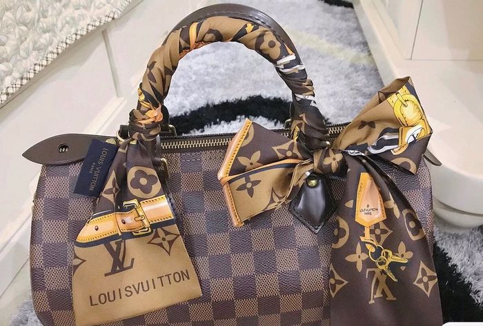 Louis Vuitton Scarf LVC00014