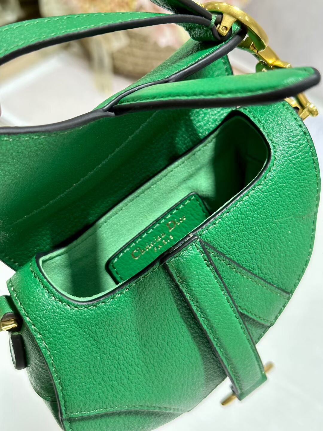 DIOR MICRO SADDLE BAG Antique Goatskin S5685CC green