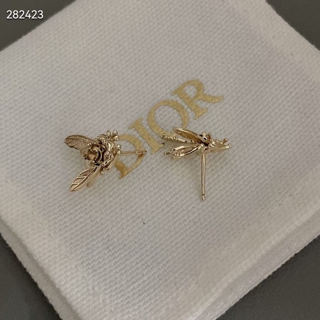 Dior Earrings CE9821