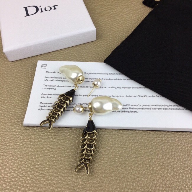 Dior Earrings CE9971