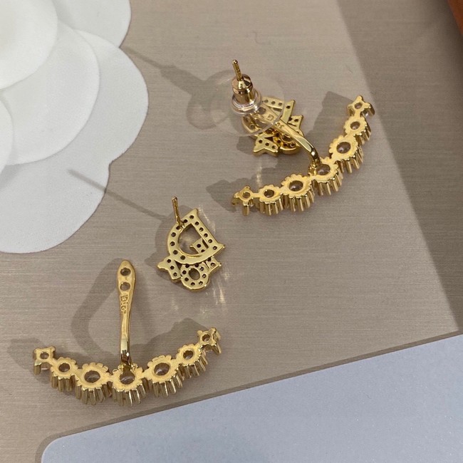 Dior Earrings CE10072