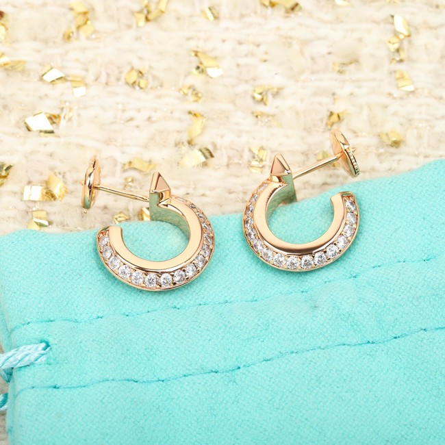 TIFFANY Earrings CE10101