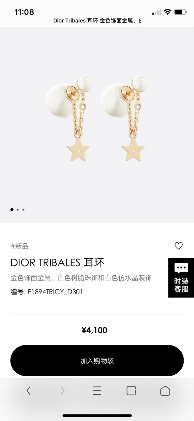 Dior Earrings CE10148