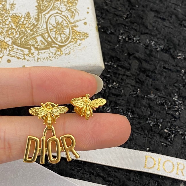 Dior Earrings CE10204