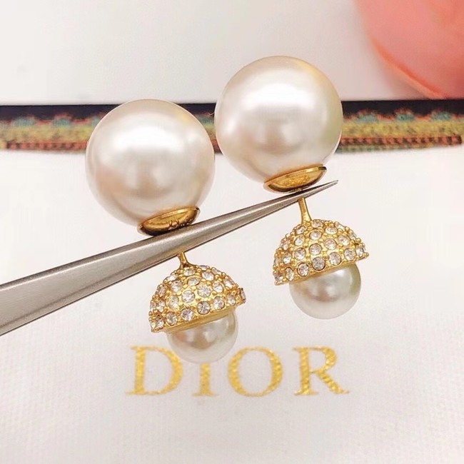 Dior Earrings CE10312