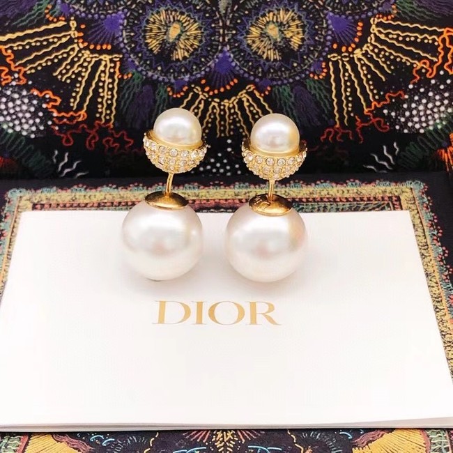 Dior Earrings CE10312