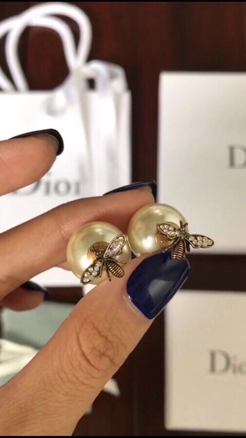 Dior Earrings CE10657