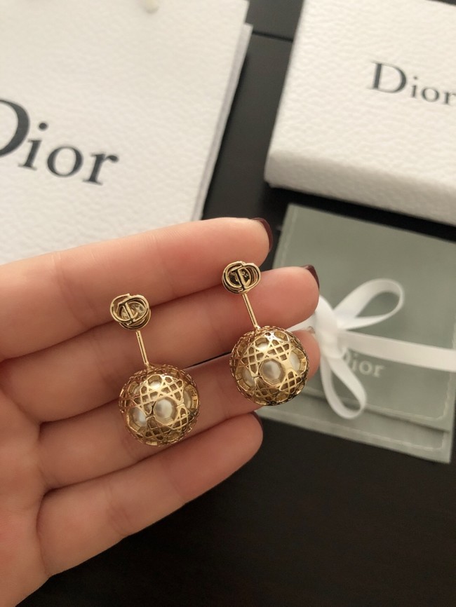 Dior Earrings CE11120