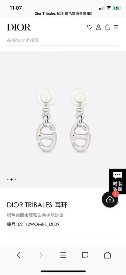 Dior Earrings CE11207