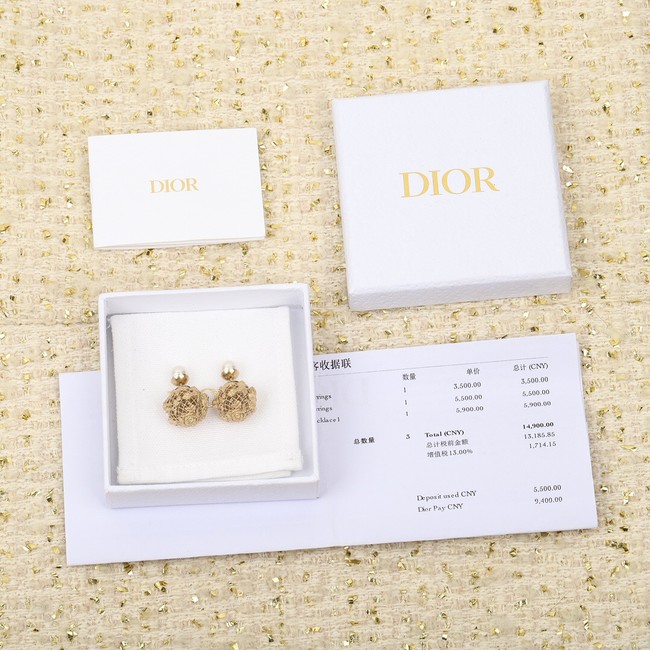 Dior Earrings CE11297