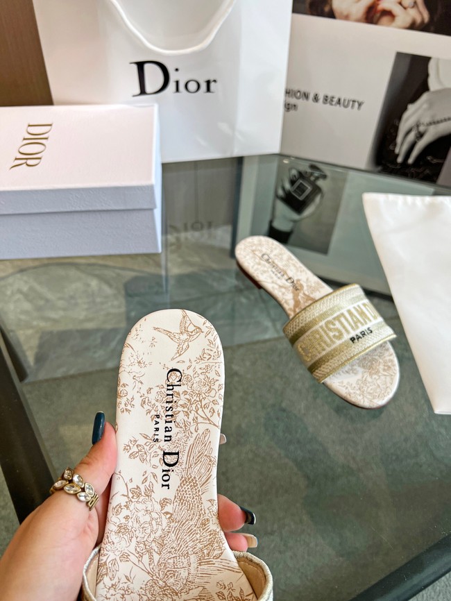 Dior DWAY SLIDE 93179-2